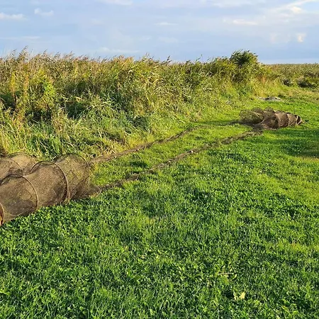 Luxury Retreat By Fjord - By Traum Fjand Garde